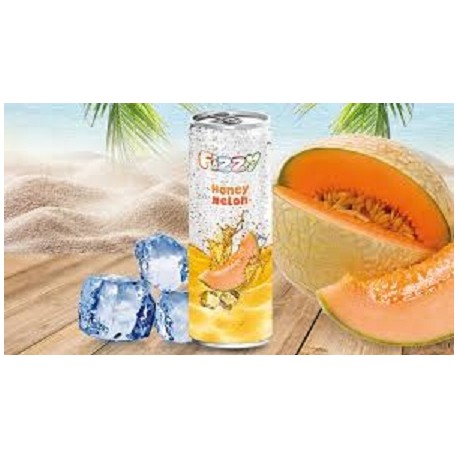 FIZZY MELON 33CL X 24