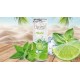 FIZZY MOJITO 33CL X 24